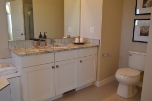 Metzler Blog Vanity Design